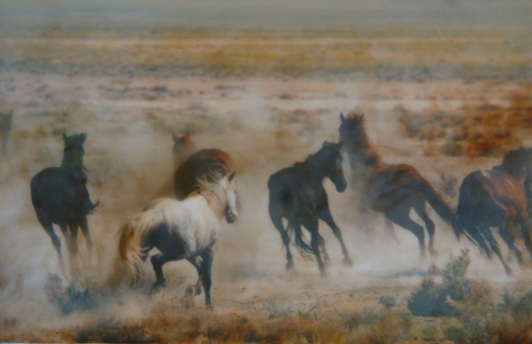 Wax works photo of horses